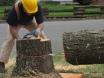 023 - Cutting Stumps